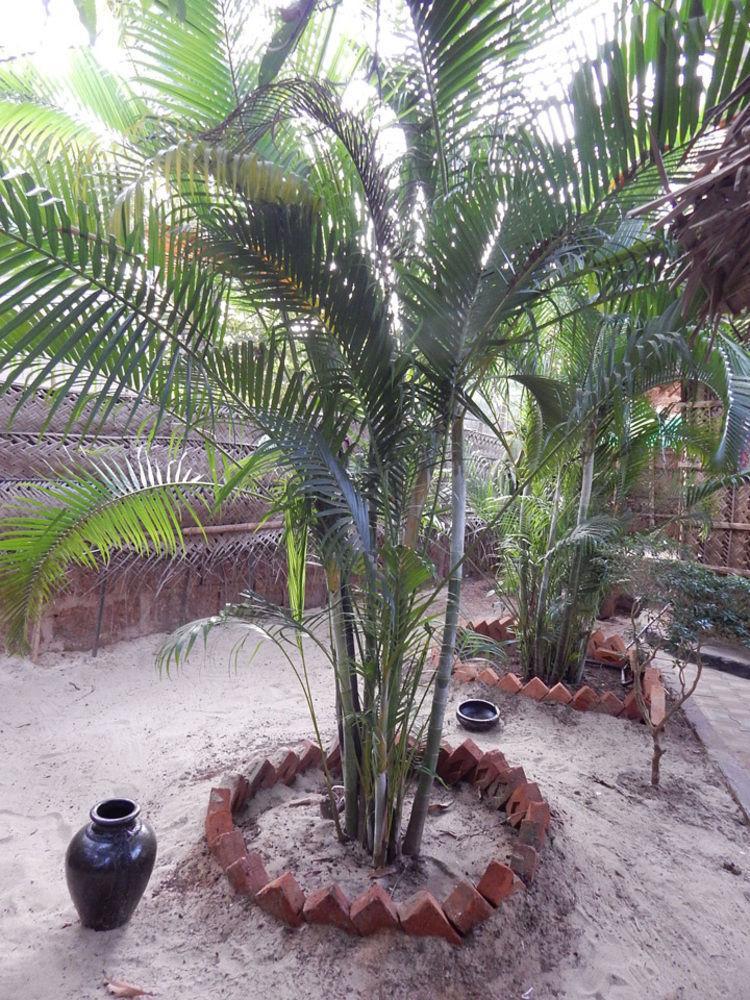 The Palm Trees Resort Patnem Beach Exterior photo